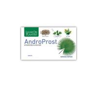 AndroProst Ligne De Plantes 60 Gélules