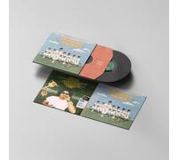 Andy Frasco - Growing Pains LP [Vinyl]