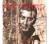 Andy Sheppard - Soft On The Inside