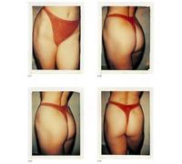 Andy Warhol: Ladies & Gentleman, Sex Parts, Torsos, Polaroids