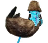 Anelekor Ensemble harnais et laisse pour furet avec clochette de sécurité en forme de dinosaure pour bébé, lapin, cochon d'Inde, tasse à thé, chihuahua, souris et autres petits animaux de compagnie