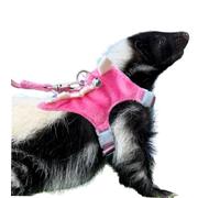 Anelekor Ensemble harnais et laisse pour furet avec clochette de sécurité en forme de dinosaure pour bébé, lapin, cochon d'Inde, tasse de thé, chihuahua, souris et autres petits animaux de compagnie