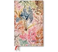 Anemone William Kilburn Maxi 18month Dayplanner 2024 by Paperblanks Paperblanks (Auteur)