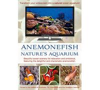 Anemonefish: Nature's Aquarium DVD [nature video for relaxation, ambience, and education]