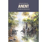 Anent - Alessandro Pignocchi - Steinkis - broché - Roman graphique