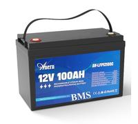 Anern Batterie LiFePO4 12V 100 Ah 1280Wh avec Protection BMS 4000+ cycles Rechargeable Batterie au lithium 12V 100Ah pour Caravane, Camping-car, Bateaux, Système Solaire, Maison, Camping