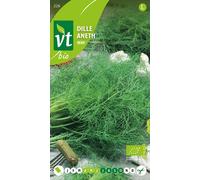 Aneth Hera Graines- Env. 1,5 gr | VT_226