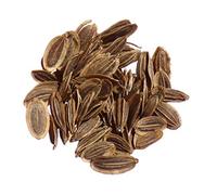 Aneth Officinale Bio - Anethum Graveolens L. - SEM02