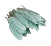 Anevous Lot de 100 plumes pour bricolage Plumes longues pour décoration de carnaval, décoration de bricolage, attrape-rêves, décoration de mariage, boucles d'oreilles, vert clair