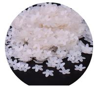 Anevous Lot de 300 paillettes pour le bricolage, paillettes en vrac, cinq pétales de fleurs, ensemble d'épingles à paillettes pour couture, collage, enfilage, bricolage, 10 mm, blanc A