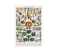 ANFOTCM Alillot, illustration de variétés de légumes, affiche imprimée pour chambre d'adolescents et de garçons, décoration murale, impression sur toile, 40 x 60 cm