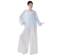 Angcoco Women's V Neck Lantern Sleeve Mesh Top