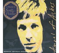 angel ashes - a tribute to scott walker