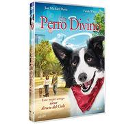 Angel Dog - Un Perro Divino