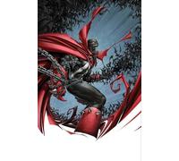 Angel Medina - Spawn: Origins Volume 19