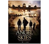 Angel Of The Skies - Battaglia Nei Cieli Dvd Italian Import