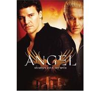 Angel - Saison 5 (6 Dvd, Zone1)
