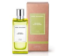 Angel Schlesser Eau de Toilette Ginger Cologne Homme 100 ml