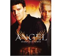 Angel: Season 5 [Import USA Zone 1]