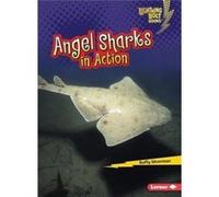 Angel Sharks in Action by Buffy Silverman Buffy Silverman (Auteur)