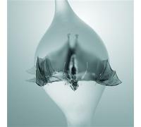 Angel Vinyle Transparent Vinyle