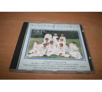 Angel Voices [UK Import]