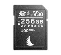 ANGELBIRD Carte SD AV PRO 256GB V30