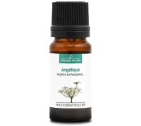 ANGÉLIQUE (Angelica archangelica) BIO - 10mL - Huile Essentielle de Qualité Premium - 100% Pure, Naturelle, garantie ChromaCert® - Chémotypée & Intégrale