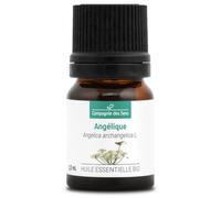 ANGÉLIQUE (Angelica archangelica) BIO - 2.5mL - Huile Essentielle de Qualité Premium - 100% Pure, Naturelle, garantie ChromaCert® - Chémotypée & Intégrale