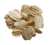 Angélique Officinale - 0,30 grammes - Angelica Archangelica - SEM05