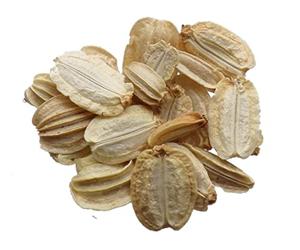 Angélique Officinale - 0,30 grammes - Angelica Archangelica - SEM05