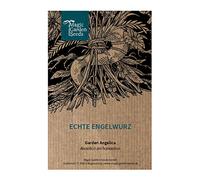 Angélique officinale (Angelica archangelica) env. 100 semences