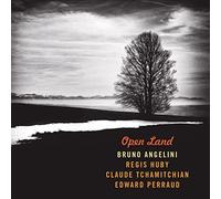Angellini, Bruno - Open Land