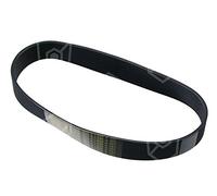 Angelo po Courroie trapézoïdale pour pommes de terre Pèle Longueur 559 mm Largeur 28 mm profil J Côtes 12