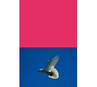 Angels, Dreams, Visions. and Miracles:: My Personal Experiences