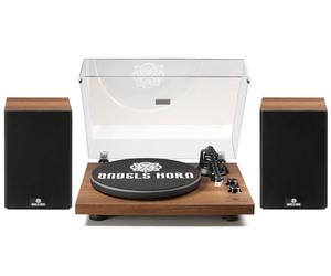 ANGELS HORN Platine Vinyle Bluetooth Hi-FI, Tourne-Disque avec Enceintes | Préampli phono intégré, cellule MM AT-3600L, entraînement par courroie 33/45 tr/min et contrepoids réglable