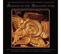 Angels in The Architecture