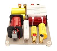 ANGGREK Filtres Croisés à 2 Voies, Diviseur de Fréquence de Haut-Parleur HiFi Haute Puissance 800 W pour Une Utilisation Professionnelle sur Scène