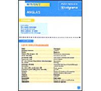 Anglais BTS/DUT - Collectif - Studyrama Eds - broché - Scolaire / Universitaire