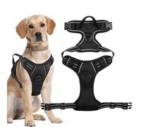 Angles d'enquête à l'épreuve de l'écrasement | Assiettes pour animaux de compagnie gratuites | Harnais pour chien robuste et réfléchissant avec 2 clips en lin pour petites races de grande taille