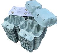 Anglia Farm Supplies - Effet 6 bohsulan bleu - Boîtes en carton pour œufs colorés 1/2 douzaine - Comprend une feuille de 8 étiquettes (2 douzaines (24 cartons)