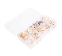 Angoily 1 Boîte Accessoires Bijoux Coquillage aquarium décor coquille ornement décor de conque de bureau nautique décor de conque pour le paysage décor de conque exquis