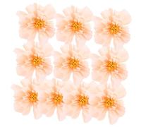 Angoily 10 Pièces Papier Crépon Rose Décoration Romantique pour Mariage et Fête Kit DIY Portable pour Ambiance Chaleureuse