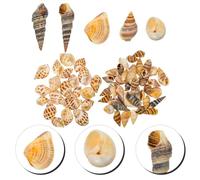 Angoily 2 boîtes Décorations Aquarium Naturelles Boîtes Coquilles de Conque pour Micro Paysagisme Ornements Aquariums Bricolage Décors pour Crustacés Ermites et Poissons