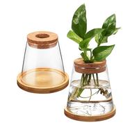 Angoily 2 Pièces Vase Hydroponique Verre Transparent avec Support en Bois Station de Propagation pour Plantes Intérieur Lot de Stations de Bouturage et Culture sans Terre