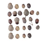 Angoily 24 Accessoires de Fruits Secs pour Décoration de Noël, Couronne Naturelle de 24 Pièces Taille Aléatoire, Décorations Sapin et Cadre Photo, Créations DIY Festives et Rustiques