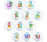 Angoily Autocollants Mensuels pour Bébé 12 Pièces, Accessoires Photo Né, Gommettes Étapes Importantes pour Nourrisson, pour Suivi Croissance et Souvenirs de Famille