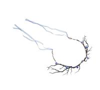 Angoily Bandeau Serrage-Tête Bois de Renne Naturel Branches Fleurs et Fruits Décoratifs Accessoire Cosplay et Déguisement Féminin pour Fêtes Bal Masqué et Événements Renaissance