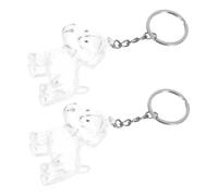 Angoily Boîte Commémorative Transparente pour Poils de Chien en ABS Porte-Clés Souvenir 2 Pièces Porte-Clés Collecteur de Poils D’Animaux Compact et Léger pour Conserver Les Souvenirs