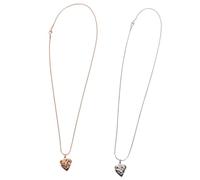 Angoily Collier Urne pour Cendres D’Animaux en Acier Inoxydable Pendentif Cœur Empreinte de Patte Lot de 2 Pièces Argenté et Rose Doré Bijou Commémoratif pour Chien et Chat Souvenir